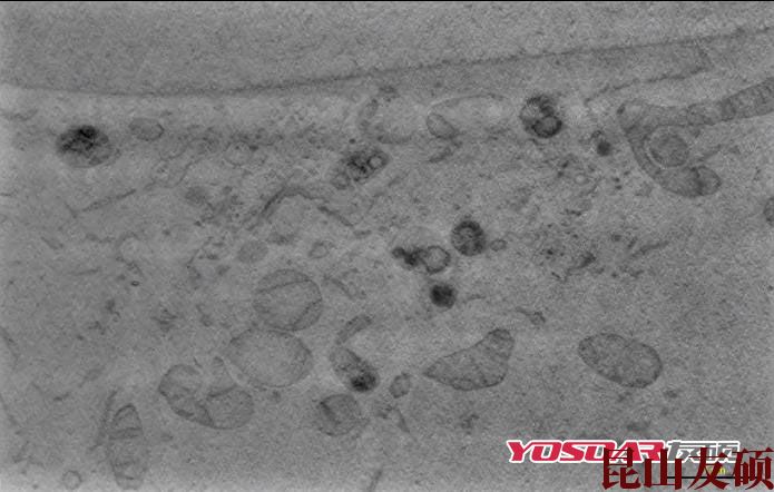 白沙蔡司双束电镜