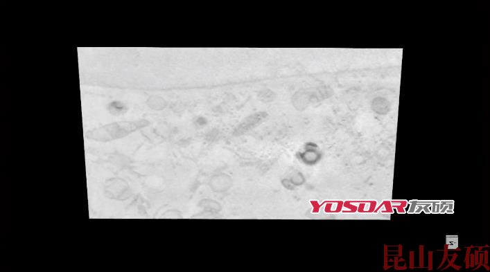 FIB白沙扫描电镜